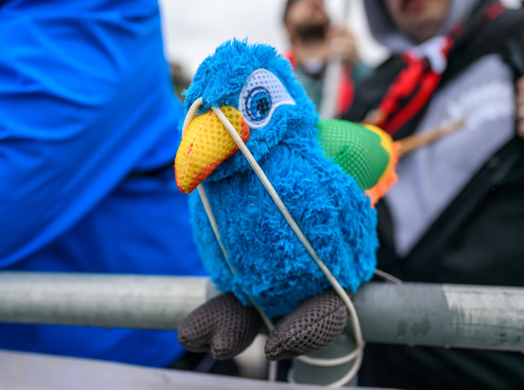 A closeup of a stuffed parrot dog toy tied to a railing